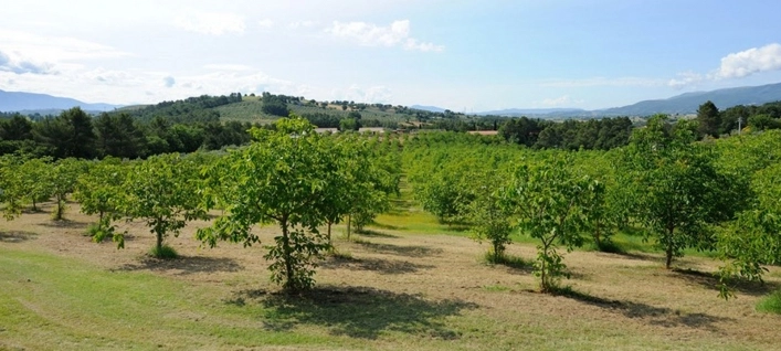 zobacz camping - zdjęcie 13