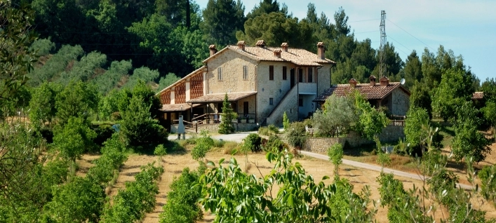 zobacz camping - zdjęcie 6