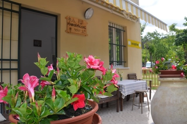 zobacz camping - zdjęcie 13