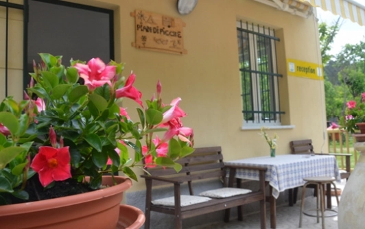 zobacz camping - zdjęcie 10