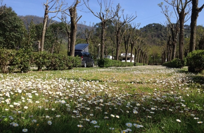 zobacz camping - zdjęcie 9