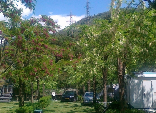 Campeggio Pian di Picche - zdjęcie 4