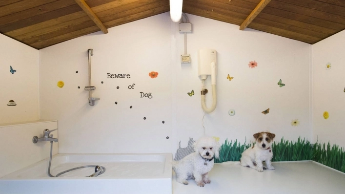 zobacz camping - zdjęcie 46