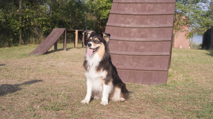 zobacz camping - zdjęcie 29