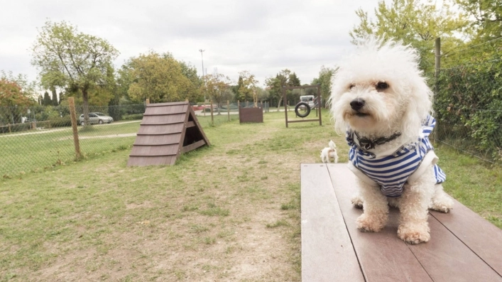 zobacz camping - zdjęcie 21