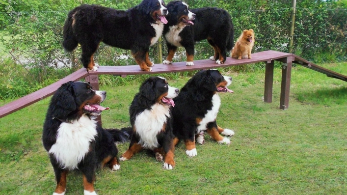 zobacz camping - zdjęcie 1