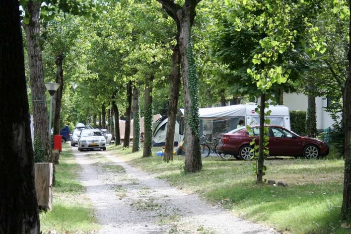 zobacz camping - zdjęcie 53