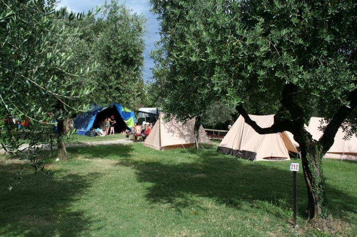 zobacz camping - zdjęcie 46