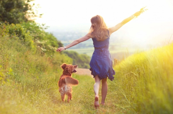 zobacz camping - zdjęcie 45