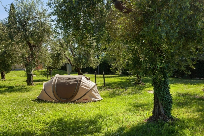 zobacz camping - zdjęcie 39