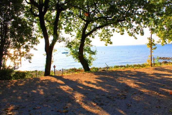 zobacz camping - zdjęcie 29