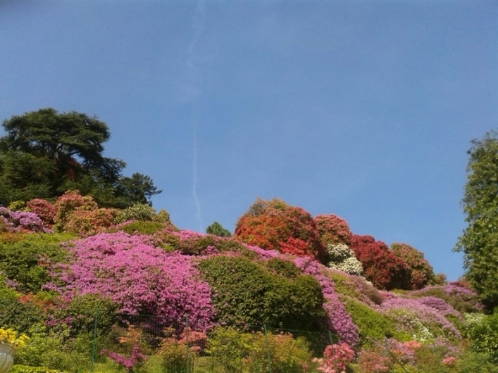 zobacz camping - zdjęcie 19