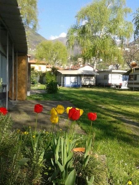 zobacz camping - zdjęcie 8