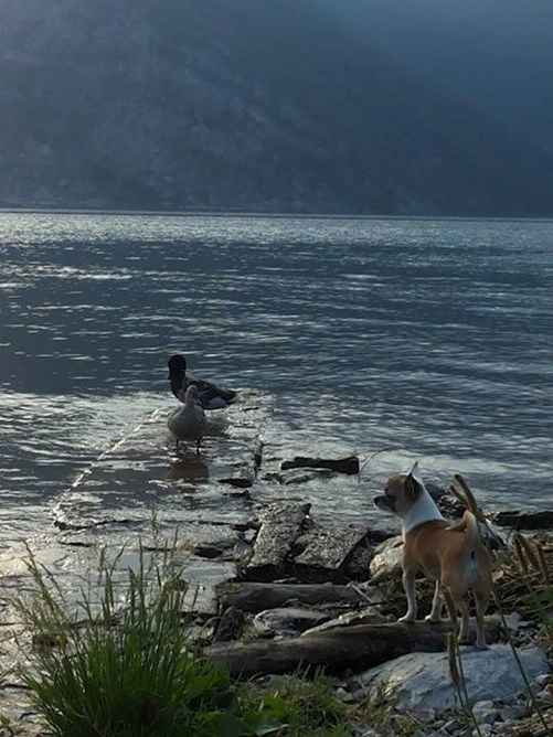 zobacz camping - zdjęcie 14