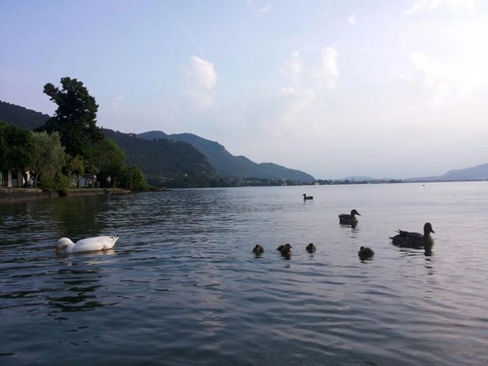 zobacz camping - zdjęcie 8