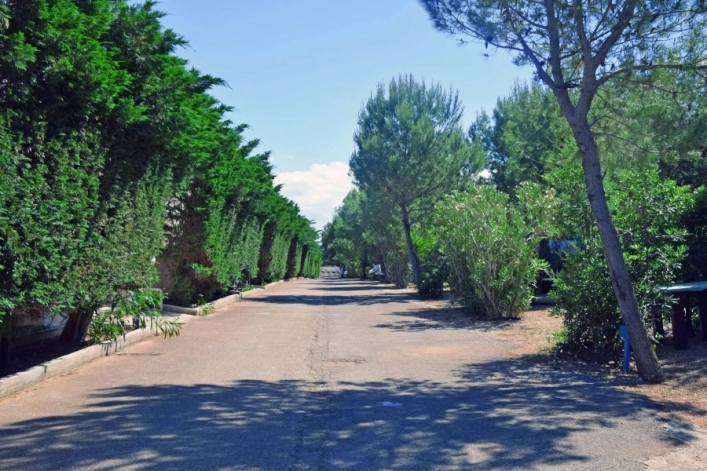 zobacz camping - zdjęcie 24