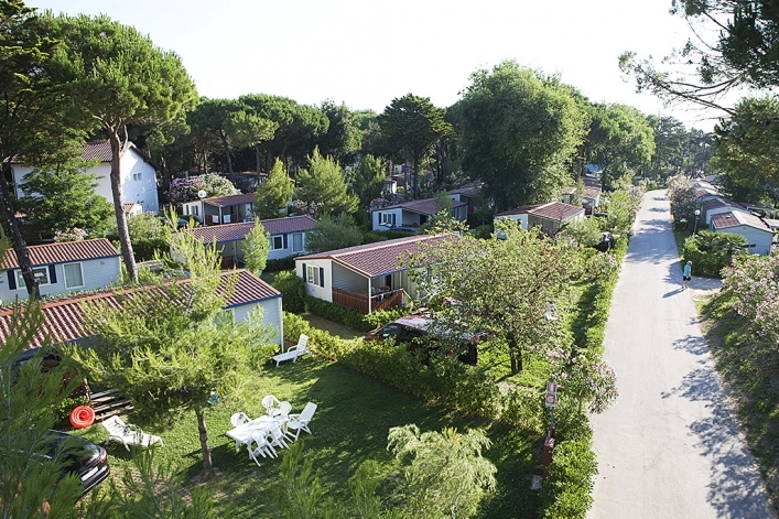 zobacz camping - zdjęcie 15