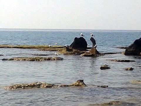 zobacz camping - zdjęcie 7