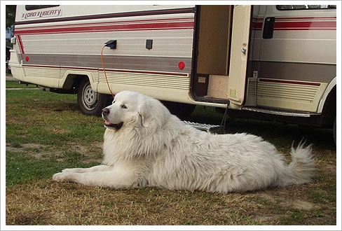 zobacz camping - zdjęcie 22