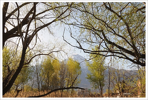 zobacz camping - zdjęcie 17