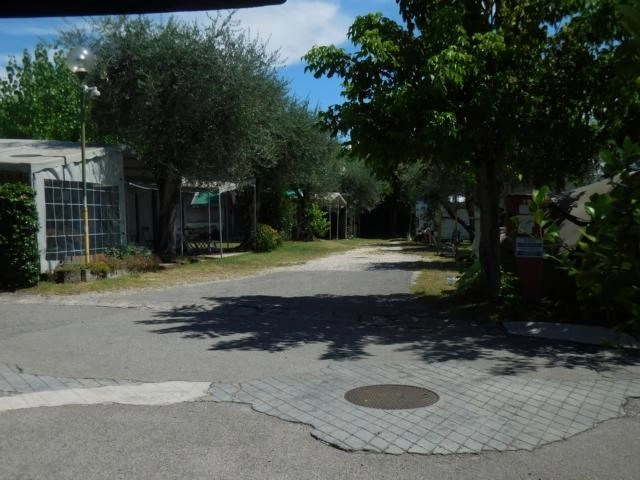 zobacz camping - zdjęcie 12