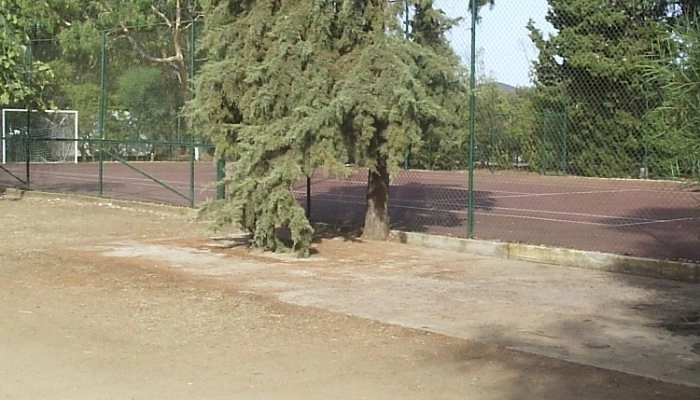 zobacz camping - zdjęcie 9