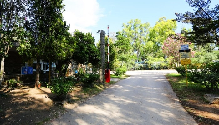 Campeggio Porto Corallo - zdjęcie 3