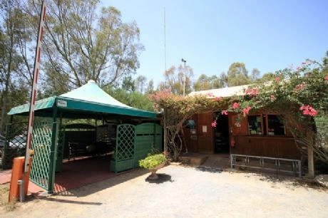 zobacz camping - zdjęcie 28