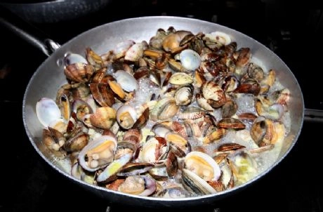 zobacz camping - zdjęcie 2