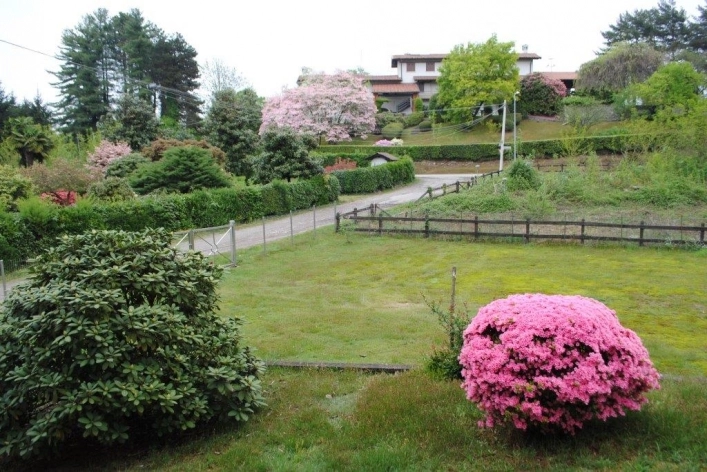 zobacz camping - zdjęcie 16