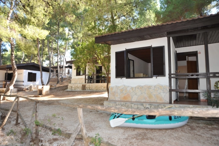 zobacz camping - zdjęcie 45