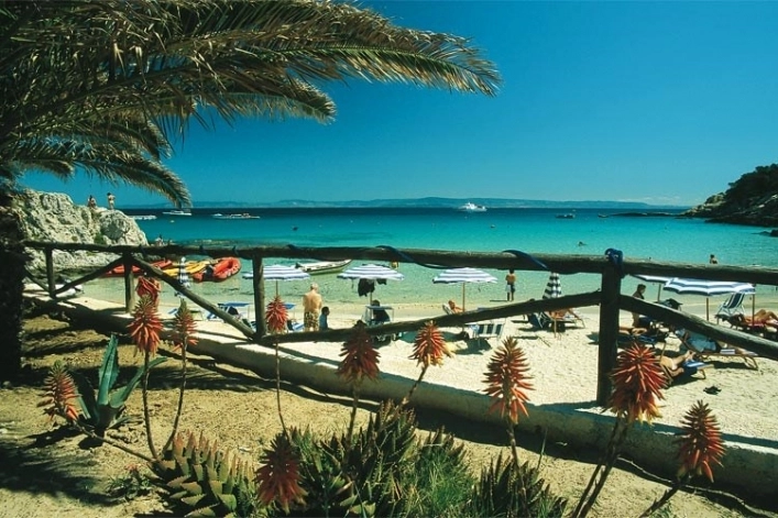 zobacz camping - zdjęcie 30