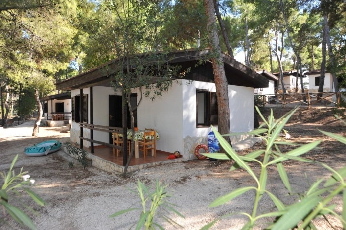 zobacz camping - zdjęcie 27