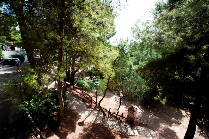 zobacz camping - zdjęcie 26