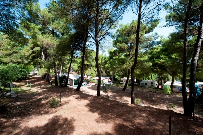 zobacz camping - zdjęcie 21