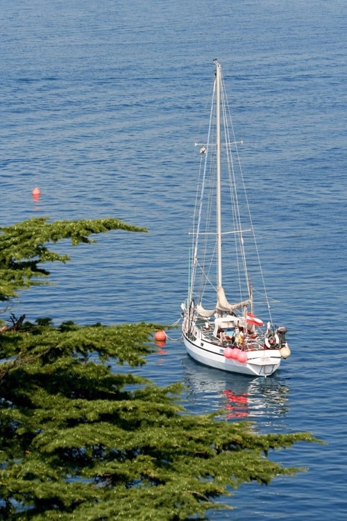 Campeggio Punta Lunga - zdjęcie 3