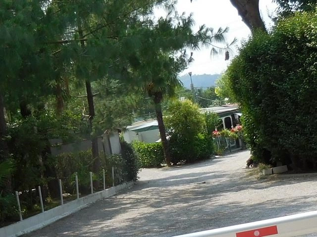 zobacz camping - zdjęcie 22