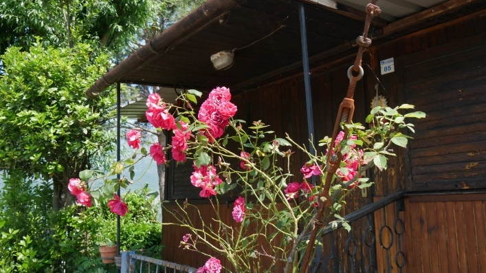 zobacz camping - zdjęcie 18