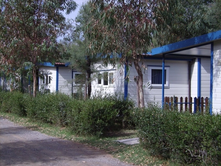 zobacz camping - zdjęcie 10