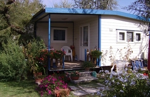 Campeggio Rada Etrusca - zdjęcie 4