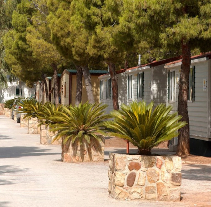 zobacz camping - zdjęcie 17