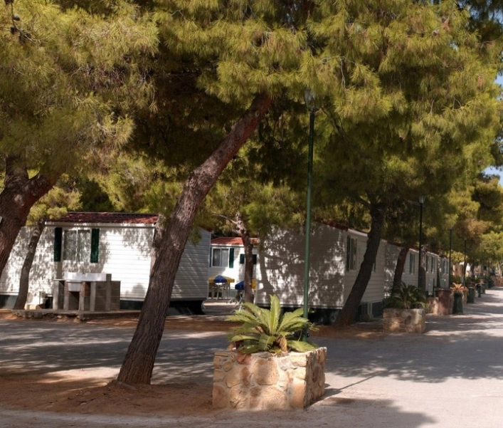 zobacz camping - zdjęcie 12