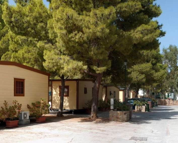 zobacz camping - zdjęcie 10