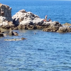 zobacz camping - zdjęcie 29