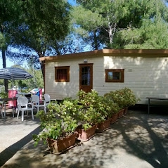 zobacz camping - zdjęcie 31