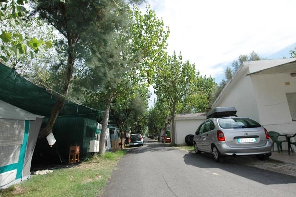 Campeggio Regina - zdjęcie 1