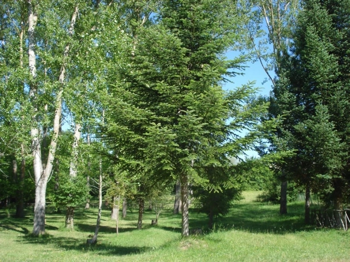 Campeggio Rio Verde - zdjęcie 3