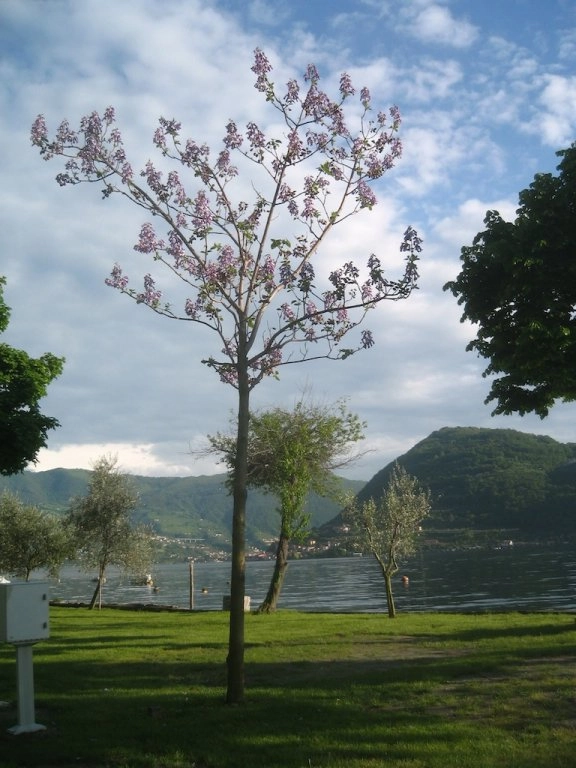 zobacz camping - zdjęcie 25