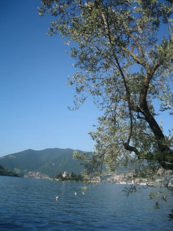 zobacz camping - zdjęcie 17