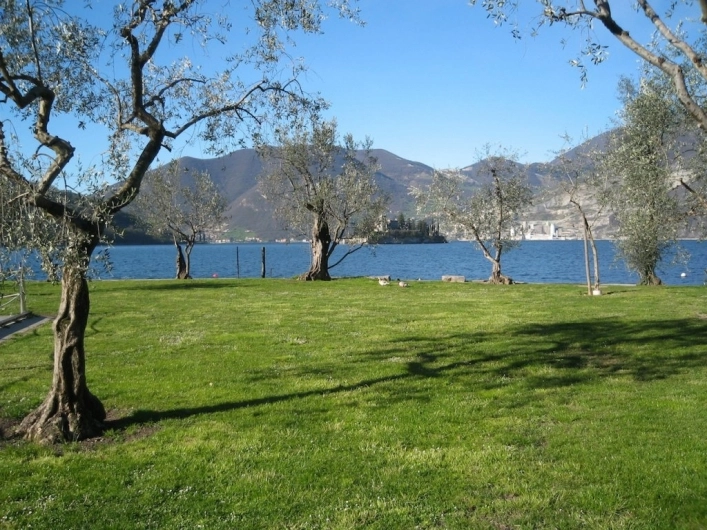 Campeggio Riva di San Pietro - zdjęcie 3